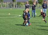 S.K.N.W.K. JO8-1 - M.Z.C. '11 JO8-3 (competitie) 2024-2025 (4e fase) (78/109)